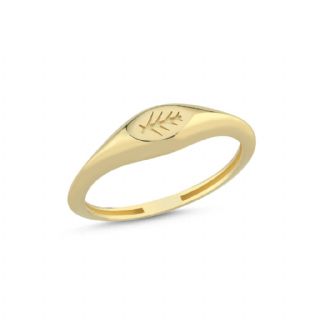 14 Ayar Signet Yüzük