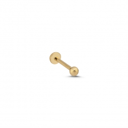 Top Tragus